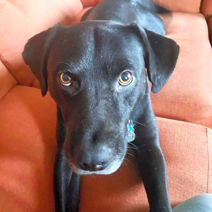 Photo of Maverick