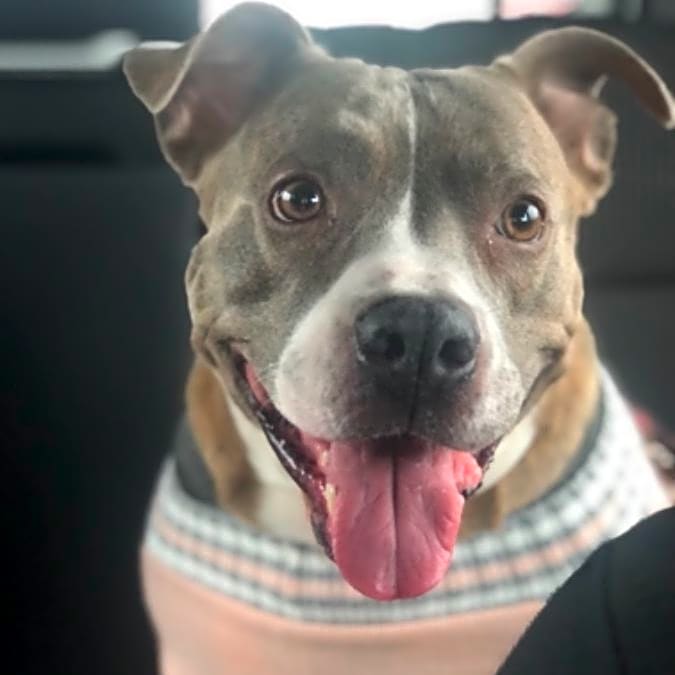 Photo of Skylar