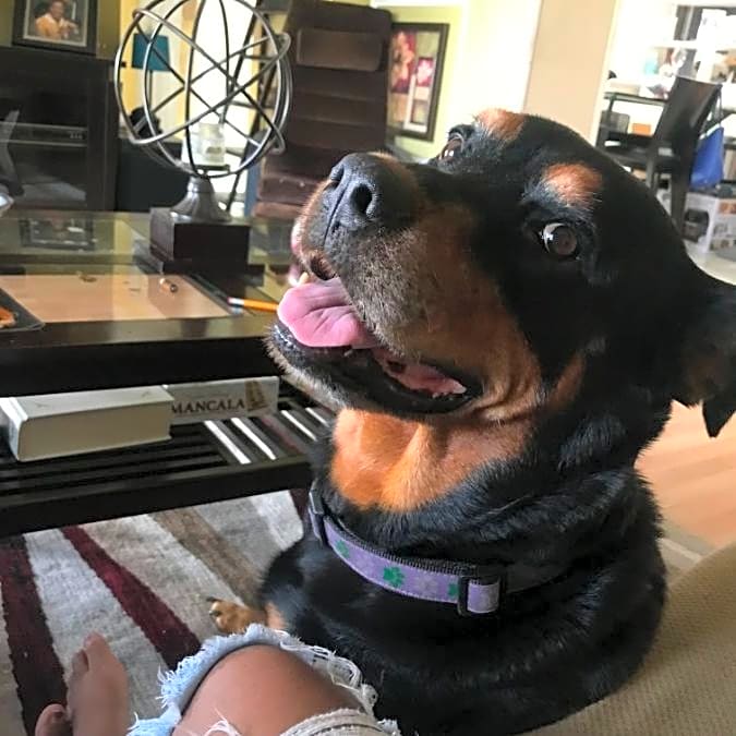 Photo of Zena