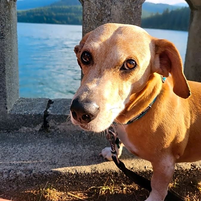 Photo of Woddy