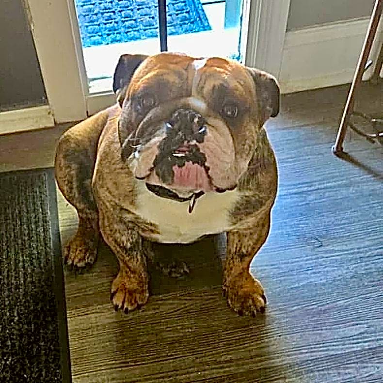 Photo of Luca