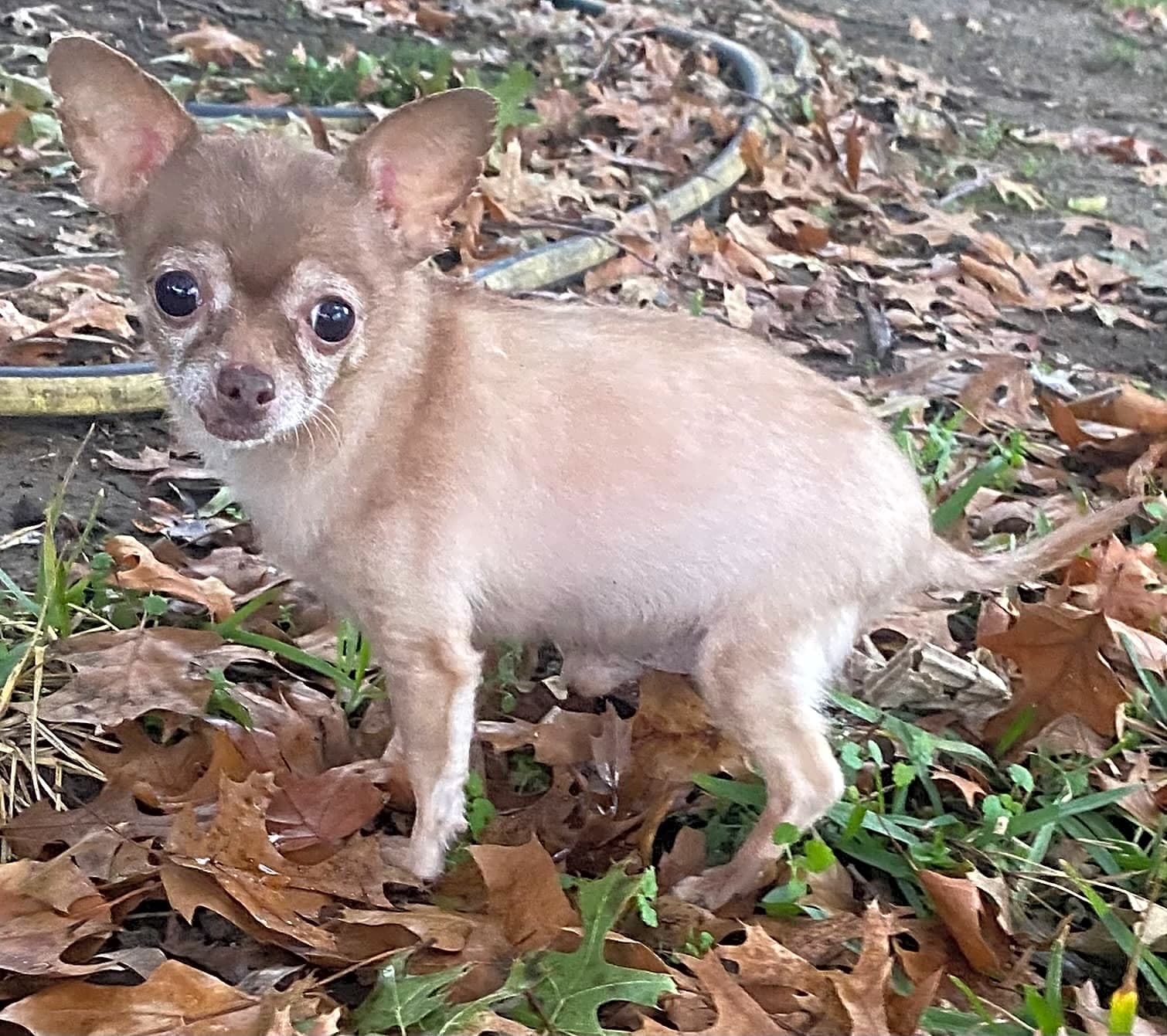 Photo of Zeus