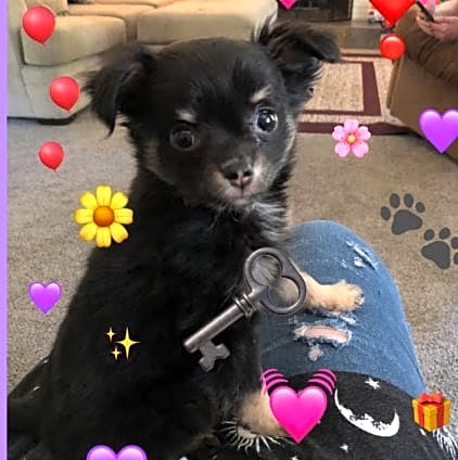 Photo of Arya