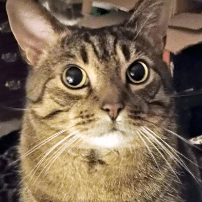 Photo of Charlie