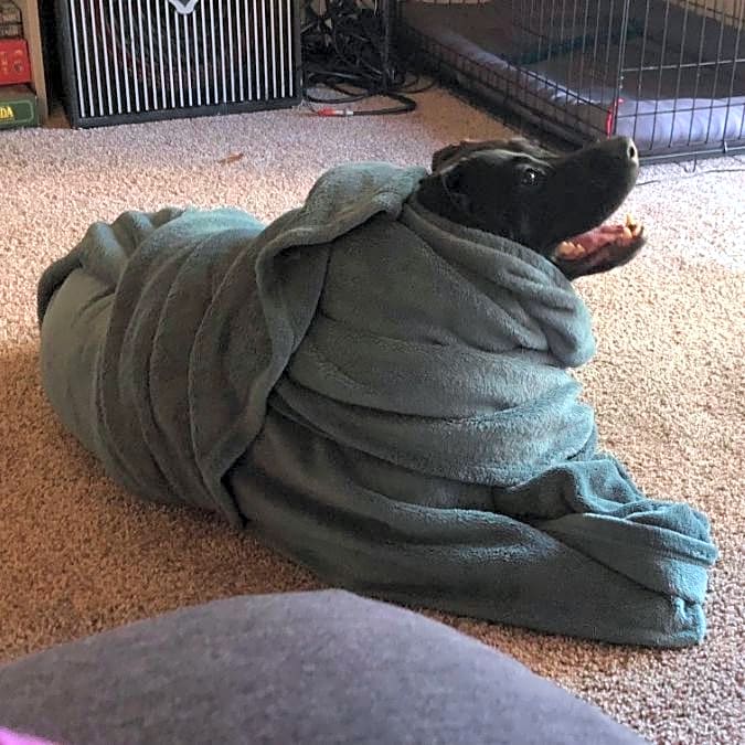 Photo of Luna