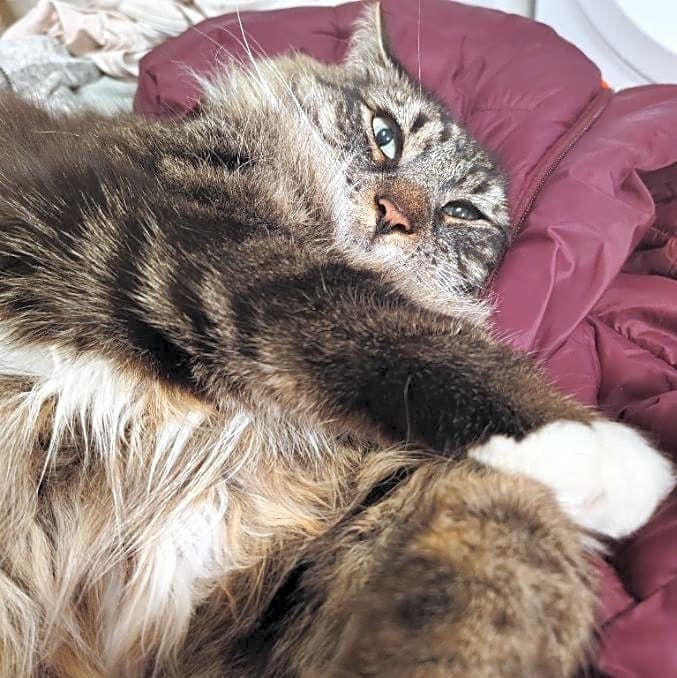 Photo of Bruce