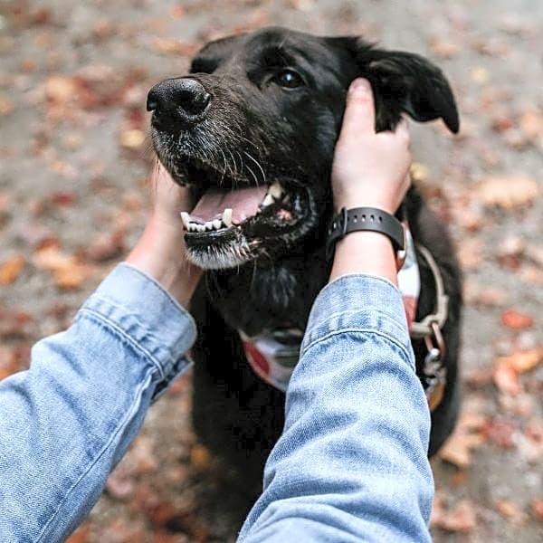 Photo of Otto