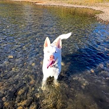Photo of Kino