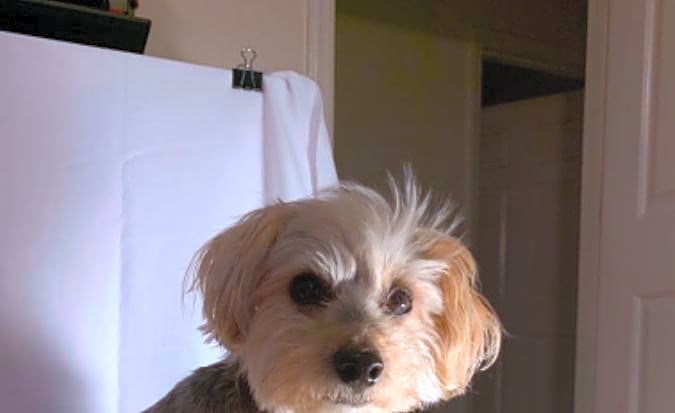 Photo of Max
