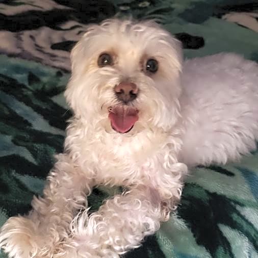 Photo of Max