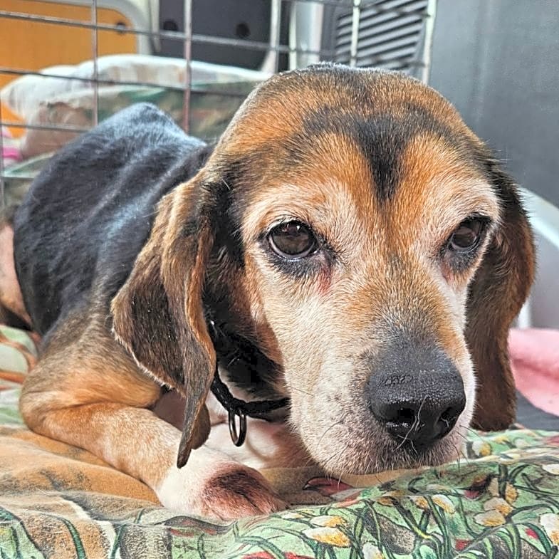 Photo of Mabel