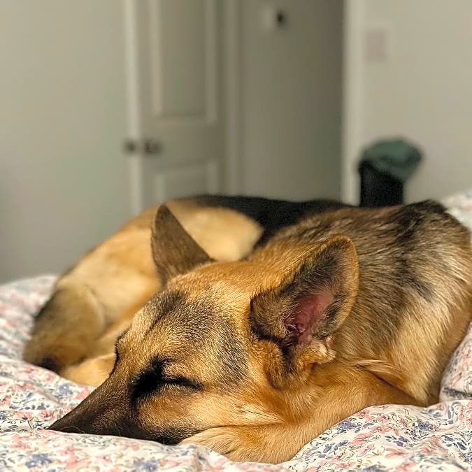 Photo of Wrigley