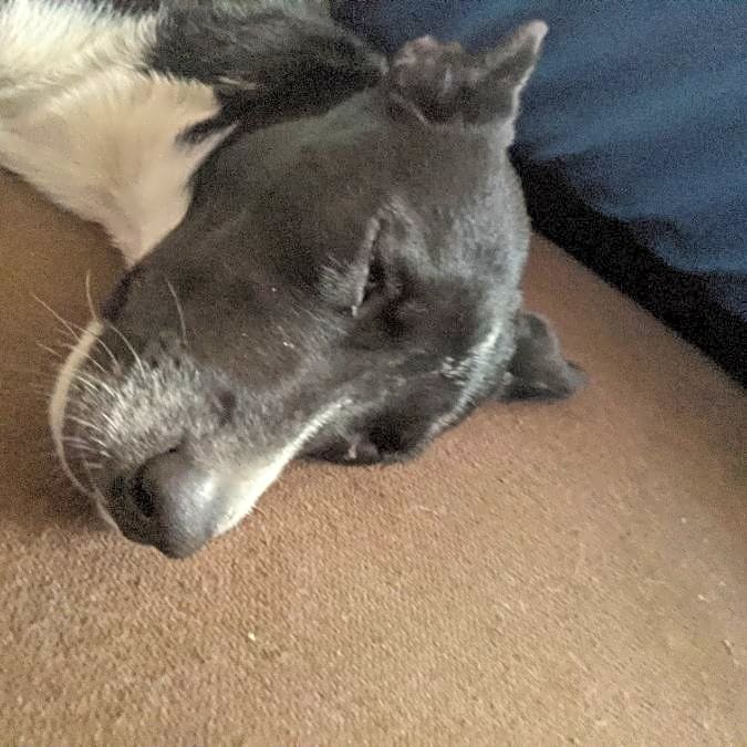 Photo of Sophia
