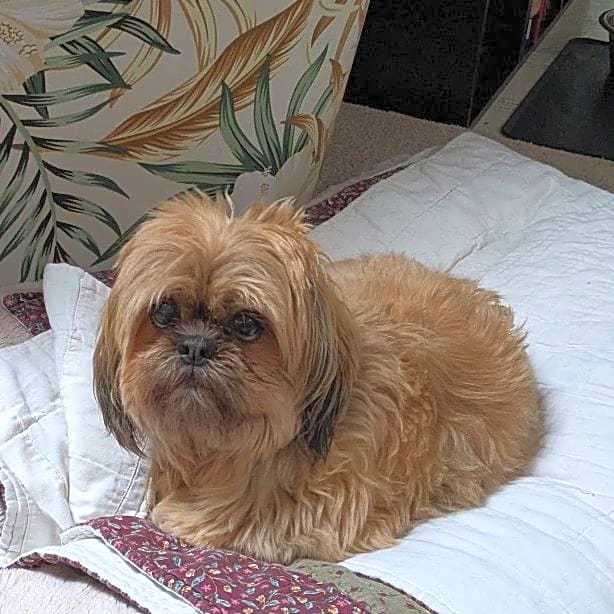 Photo of Maddie