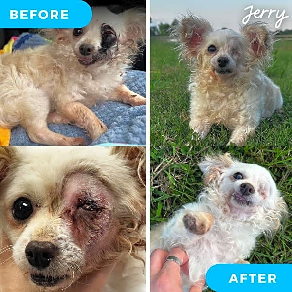 Photo of Jerry