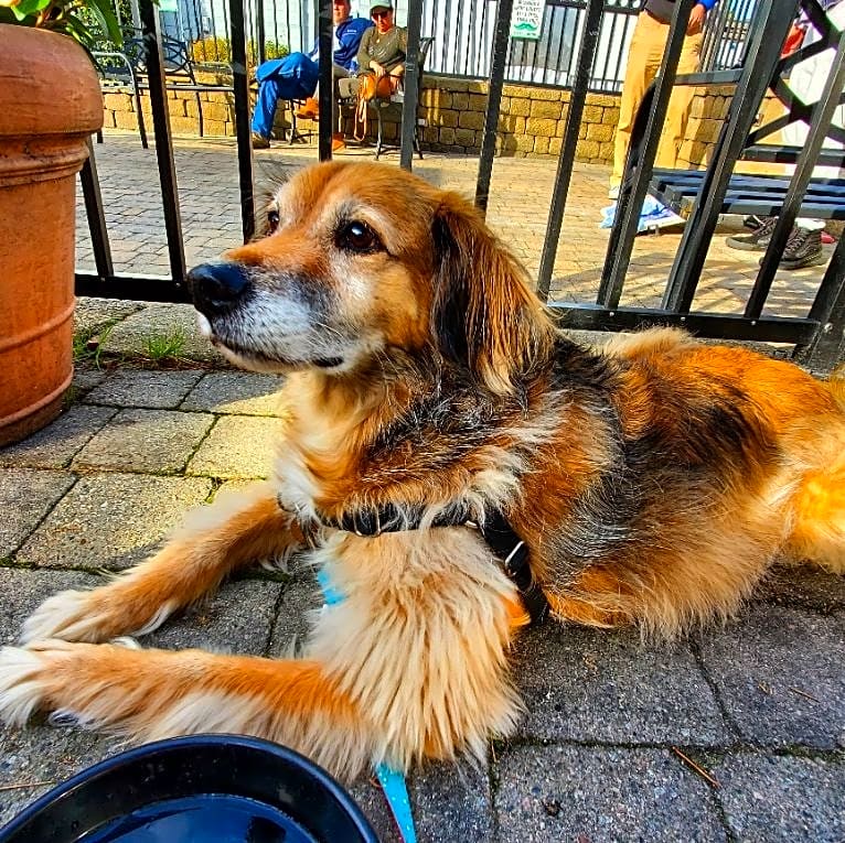 Photo of Murphy