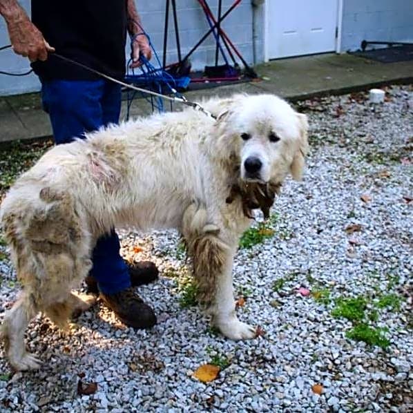 Photo of Floyd