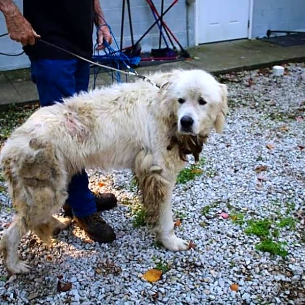 Photo of Floyd