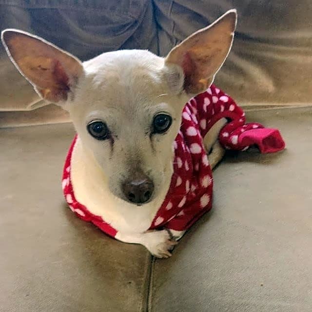 Photo of Emma