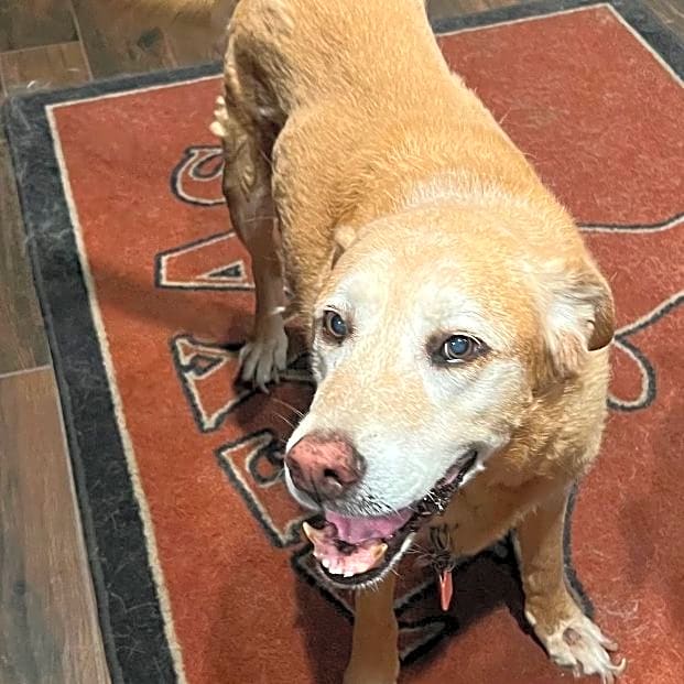 Photo of Sandy