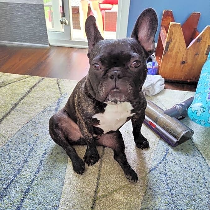 Photo of Winston