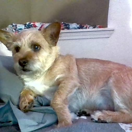 Photo of Charlie