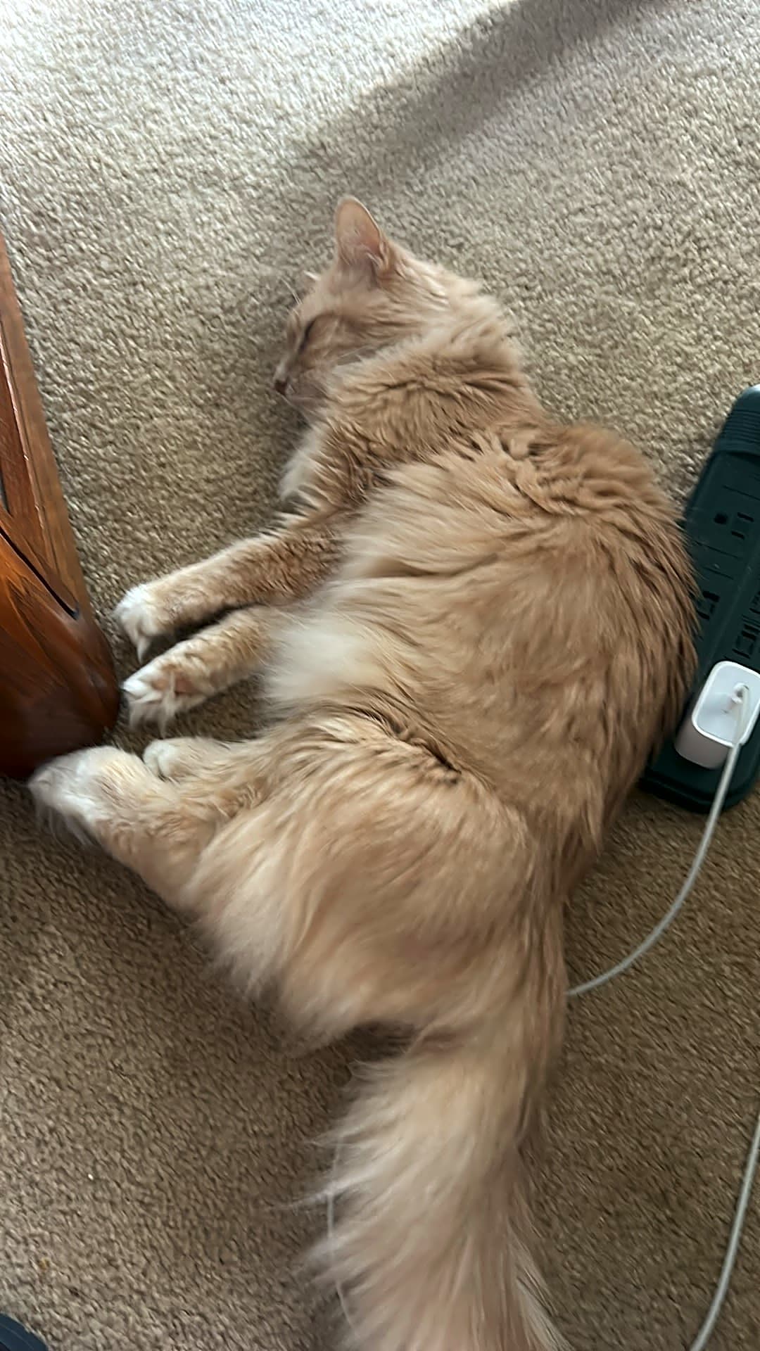 Photo of Bernie
