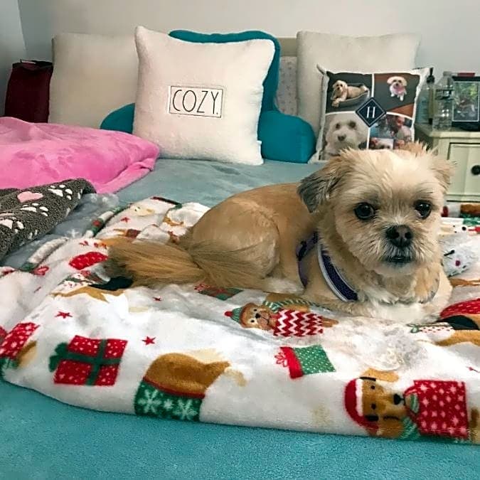 Photo of Lucy Mae