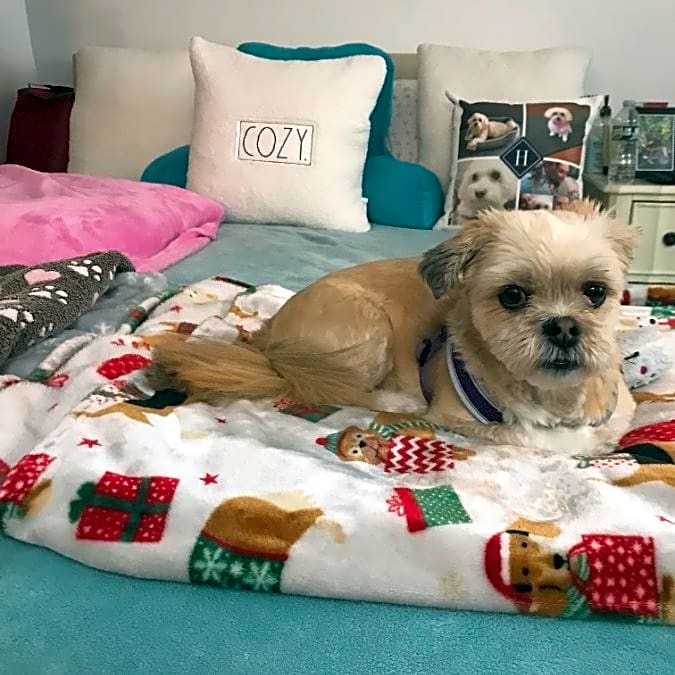 Photo of Lucy Mae