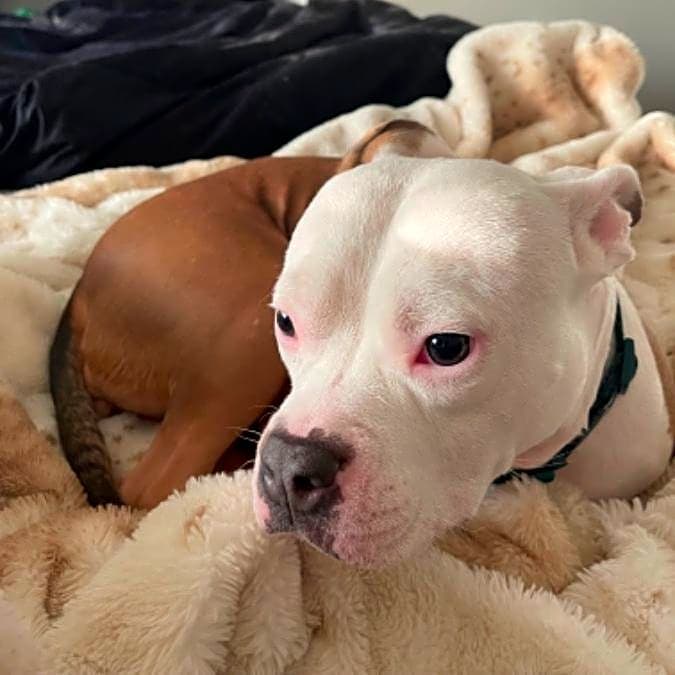 Photo of Daisy