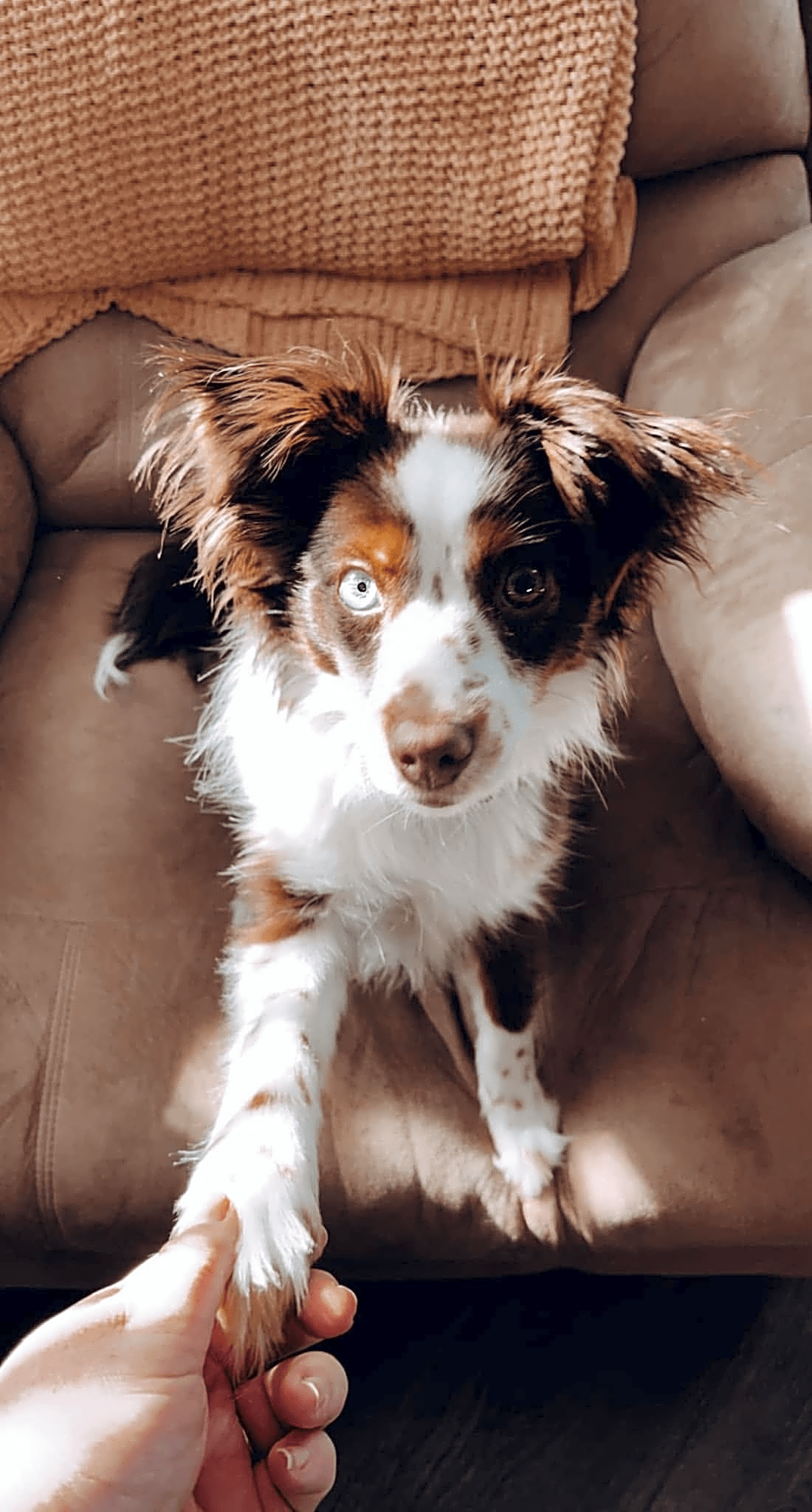 Photo of Molly