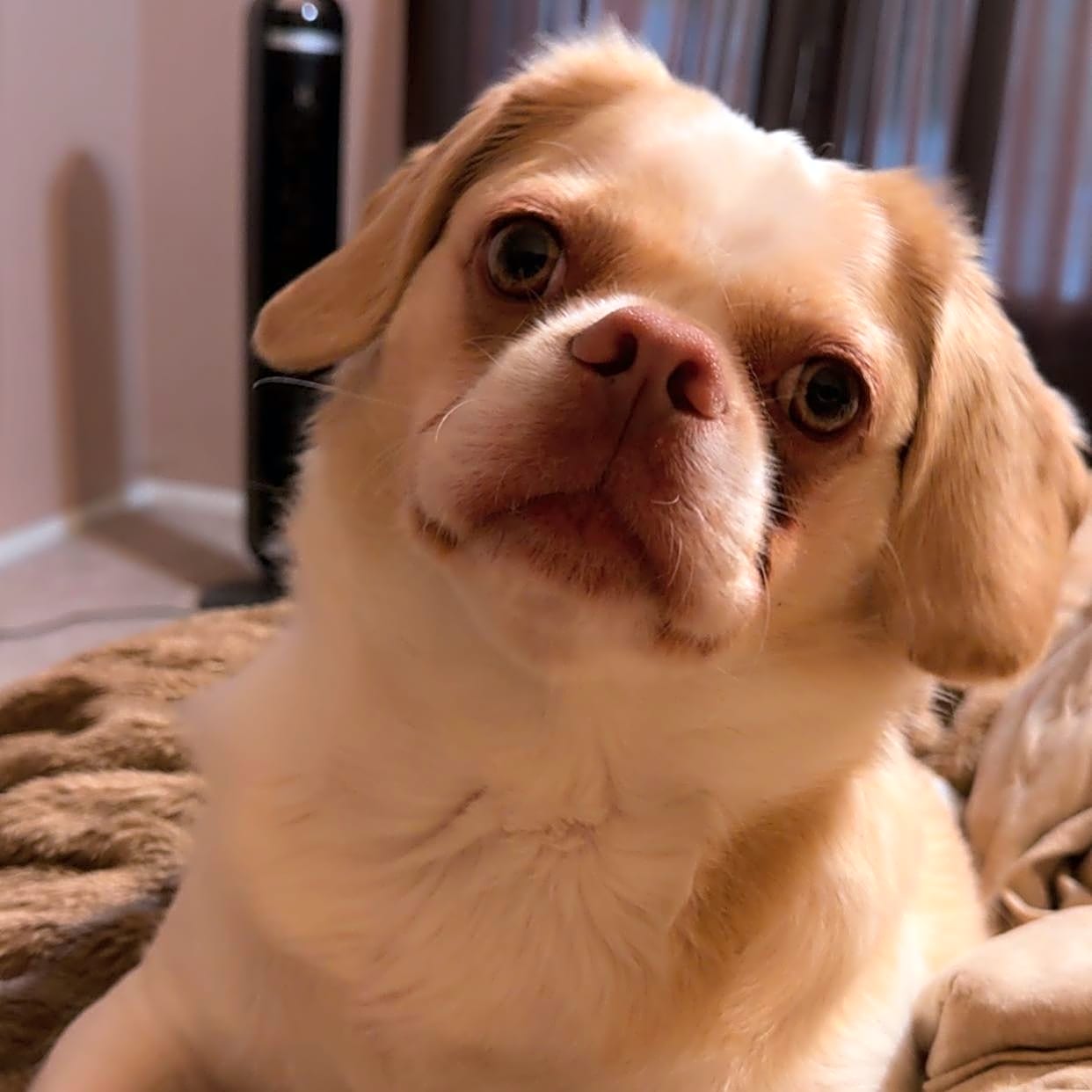 Photo of Bucky