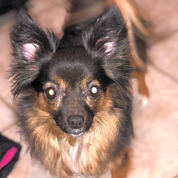 Photo of Lucy