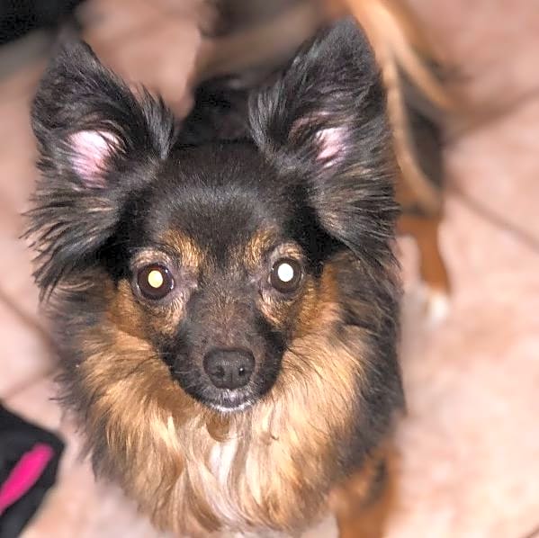 Photo of Lucy
