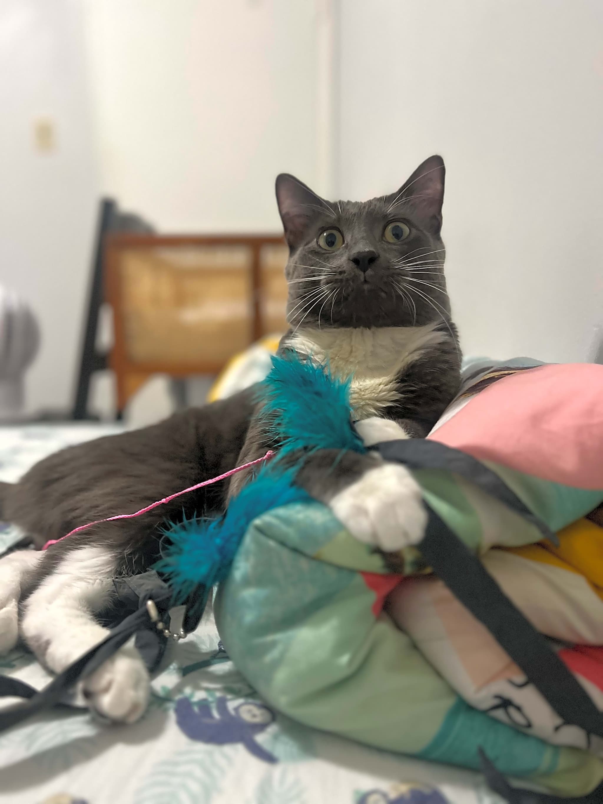 Photo of Lily
