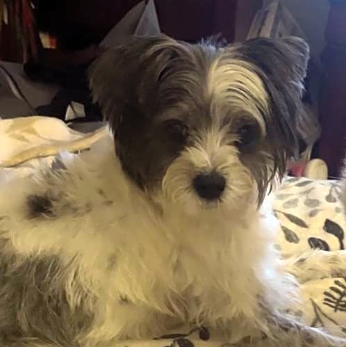 Photo of Mellie