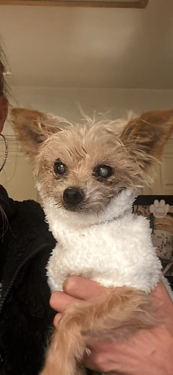 Photo of Wilbur