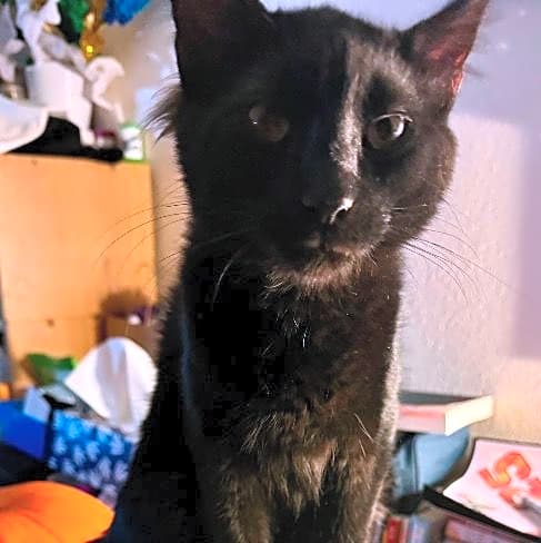 Photo of Charlie
