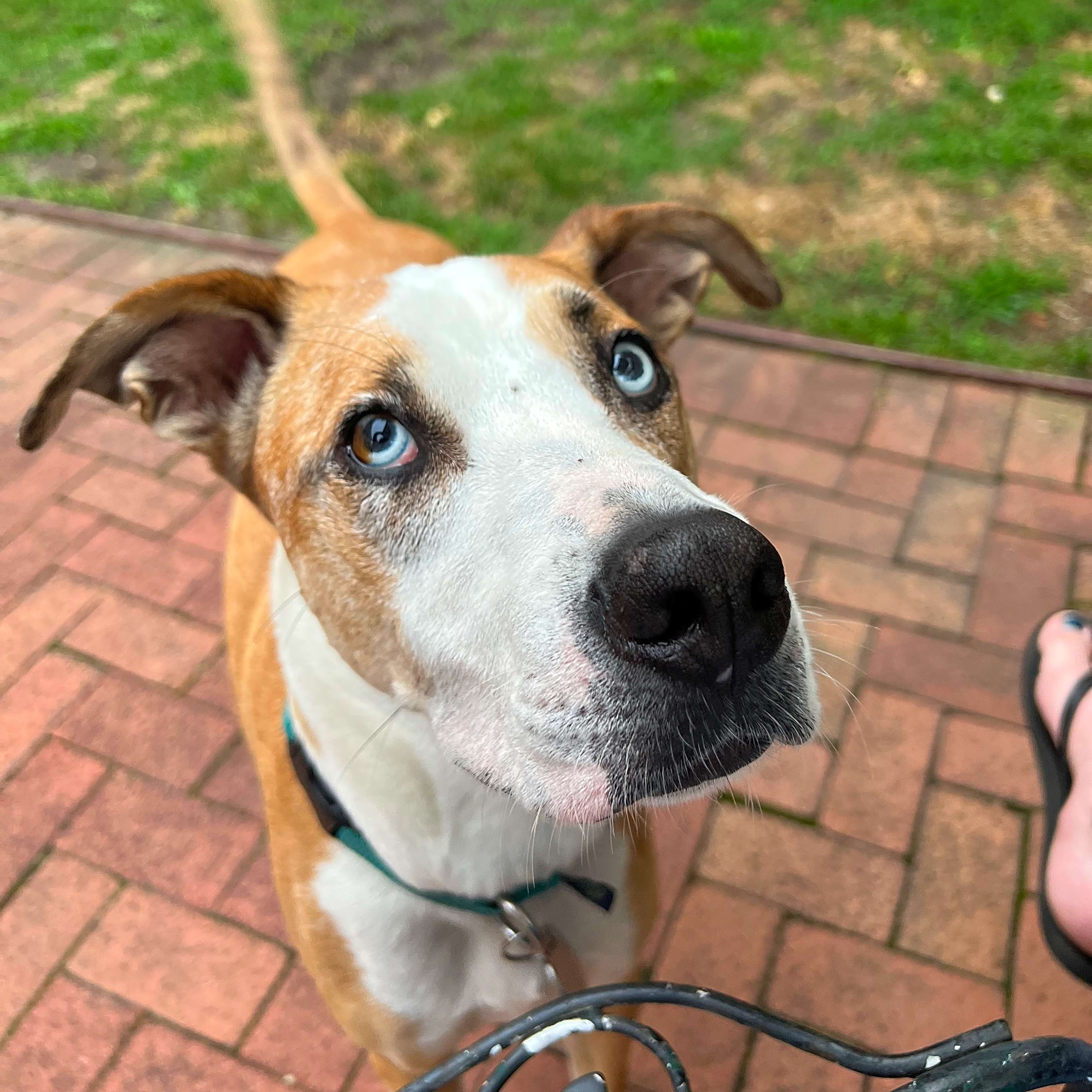 Photo of Oakley