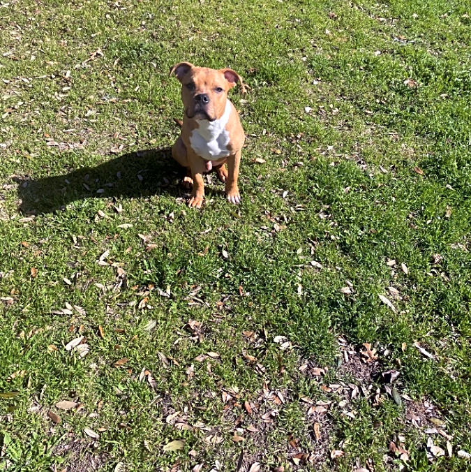 Photo of King Choppa
