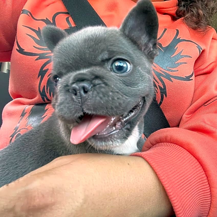 Photo of Oliver