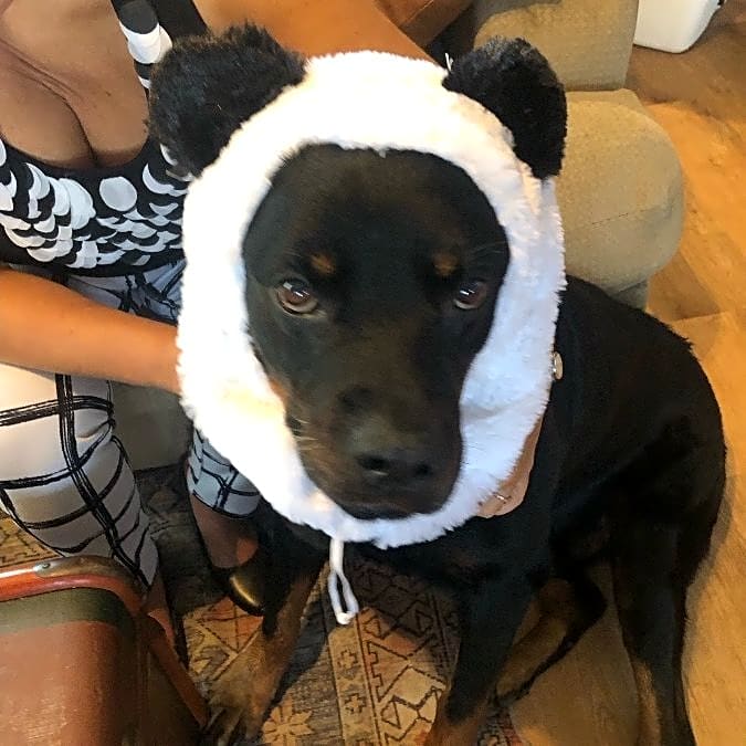Photo of Zeus