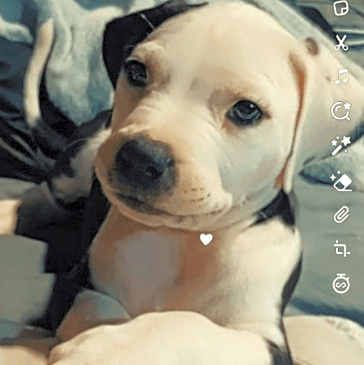 Photo of Monster