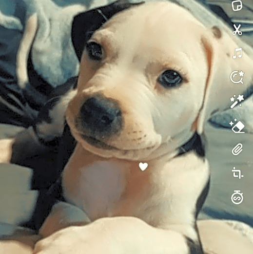 Photo of Monster