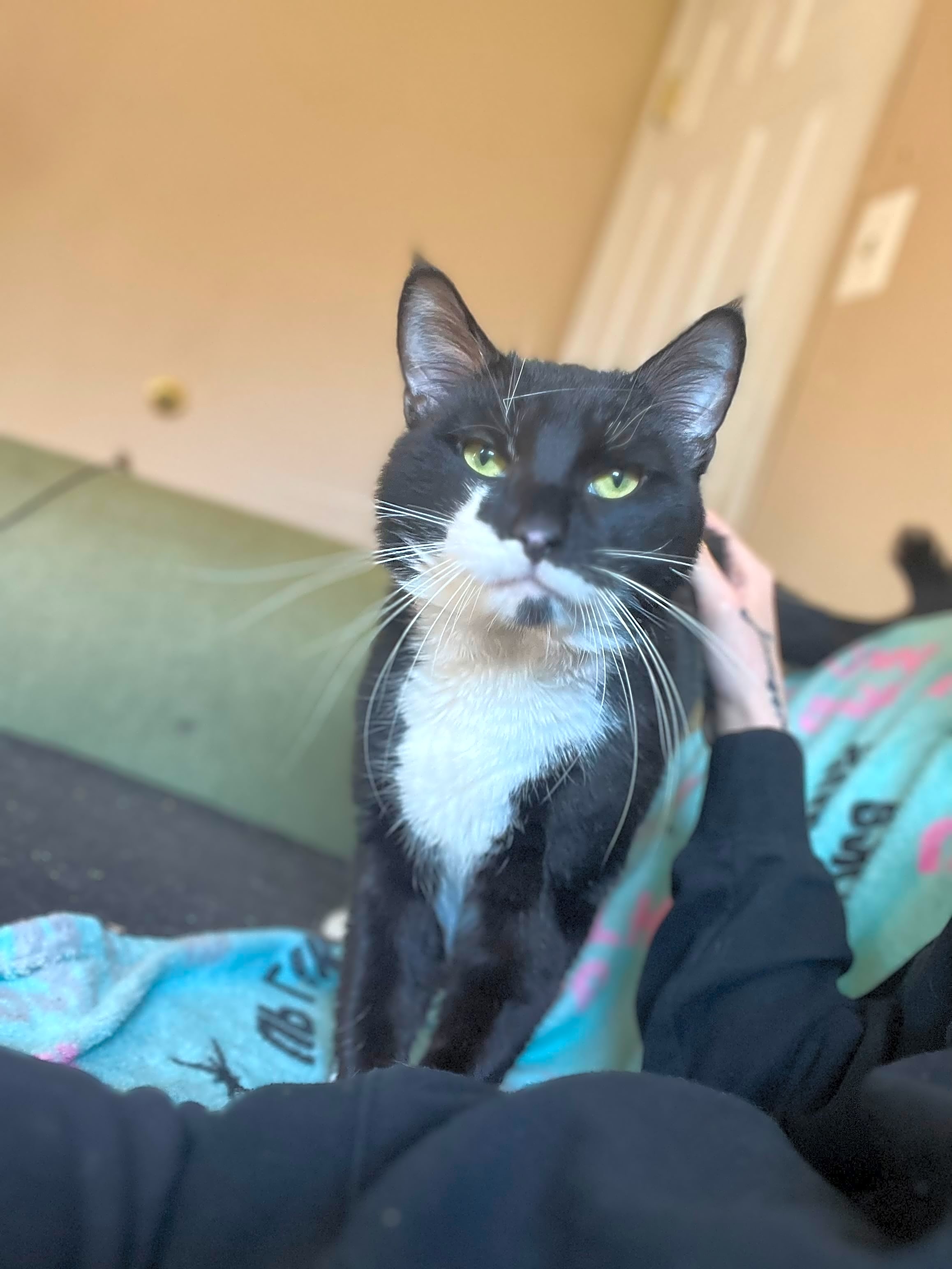 Photo of Casper