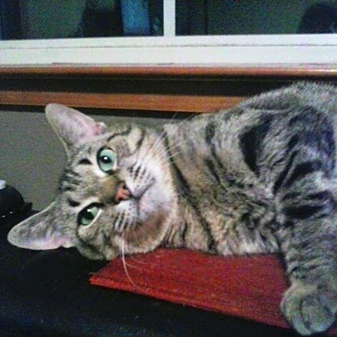 Photo of Jezabelle
