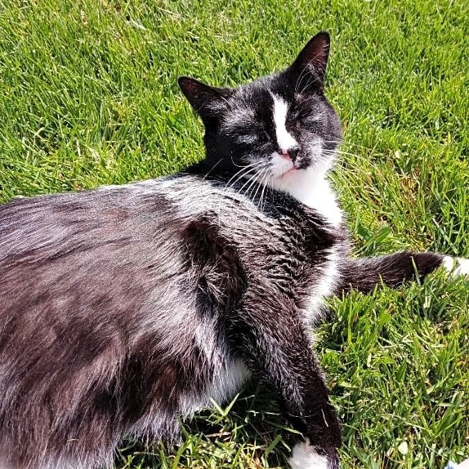 Photo of Poe