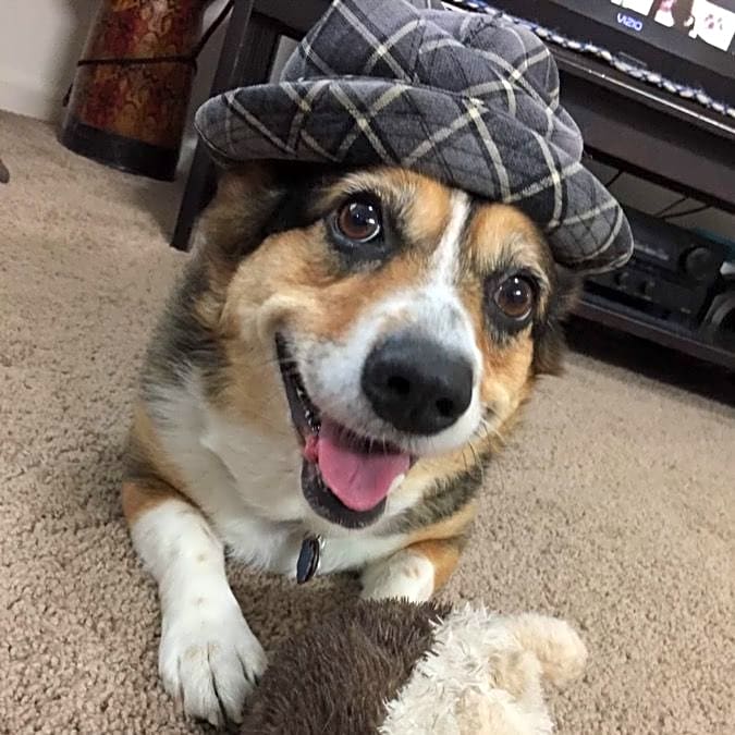 Photo of Willow
