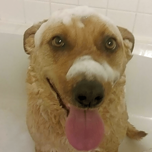 Photo of Tesla