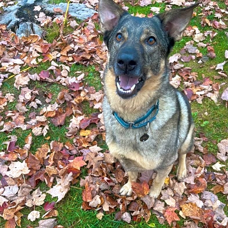 Photo of Sammy